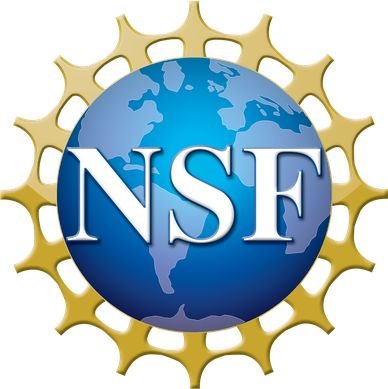 National Science Foundation