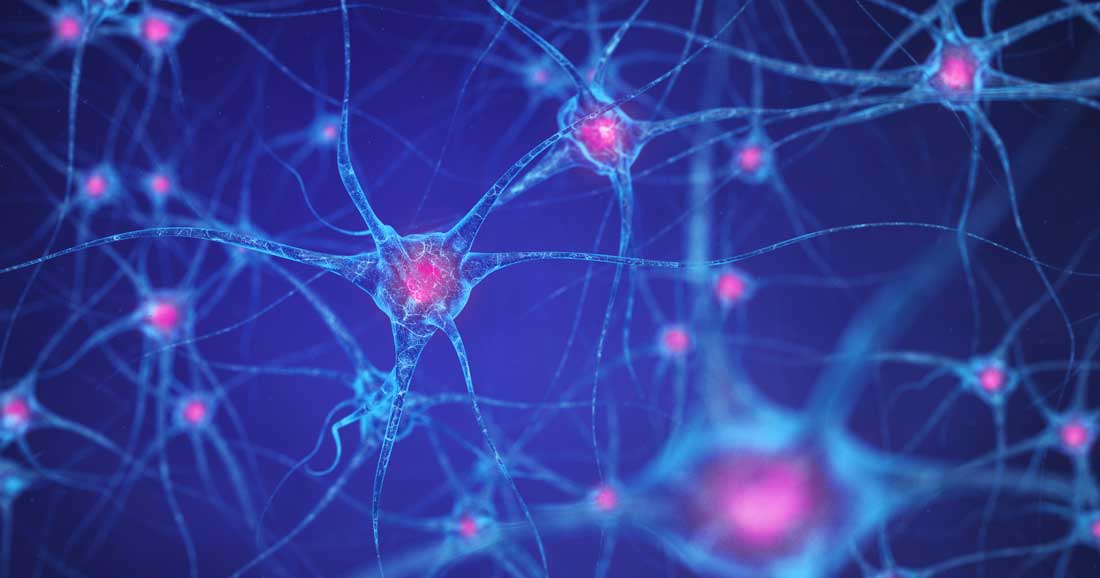 A network of neurons