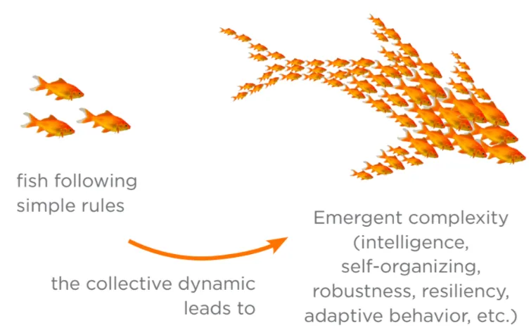 Figure 3.3: Fish and Simple Rules Lead to Superorganism