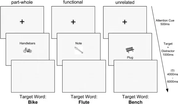 Figure 5: Trial design in the fMRI experiments.