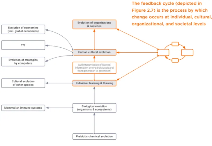 Figure 2.9: All Complex Adaptive Systems Rely on Feedback Between Schema and Reality