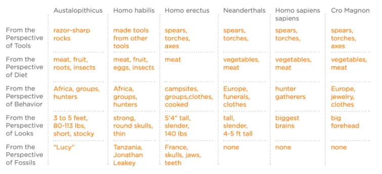 Table 8.1: A P-Circle Table of Early Hominids From Multiple Perspectives