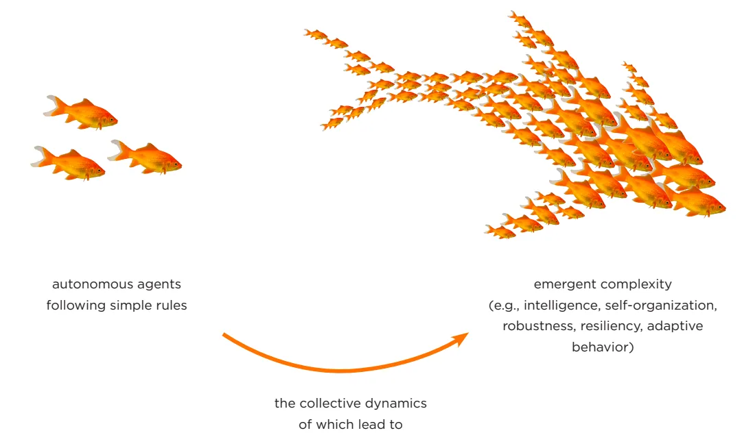 Figure 2.11: The Basic Features of a Complex Adaptive System (CAS)