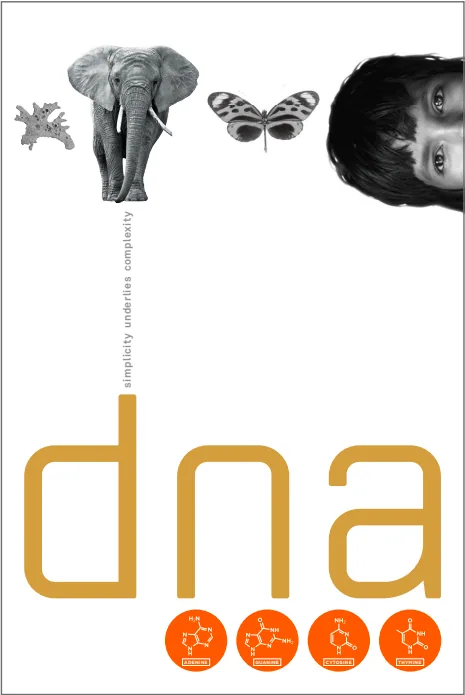 Figure 2.13: Simplicity Underlies Complexity: DNA