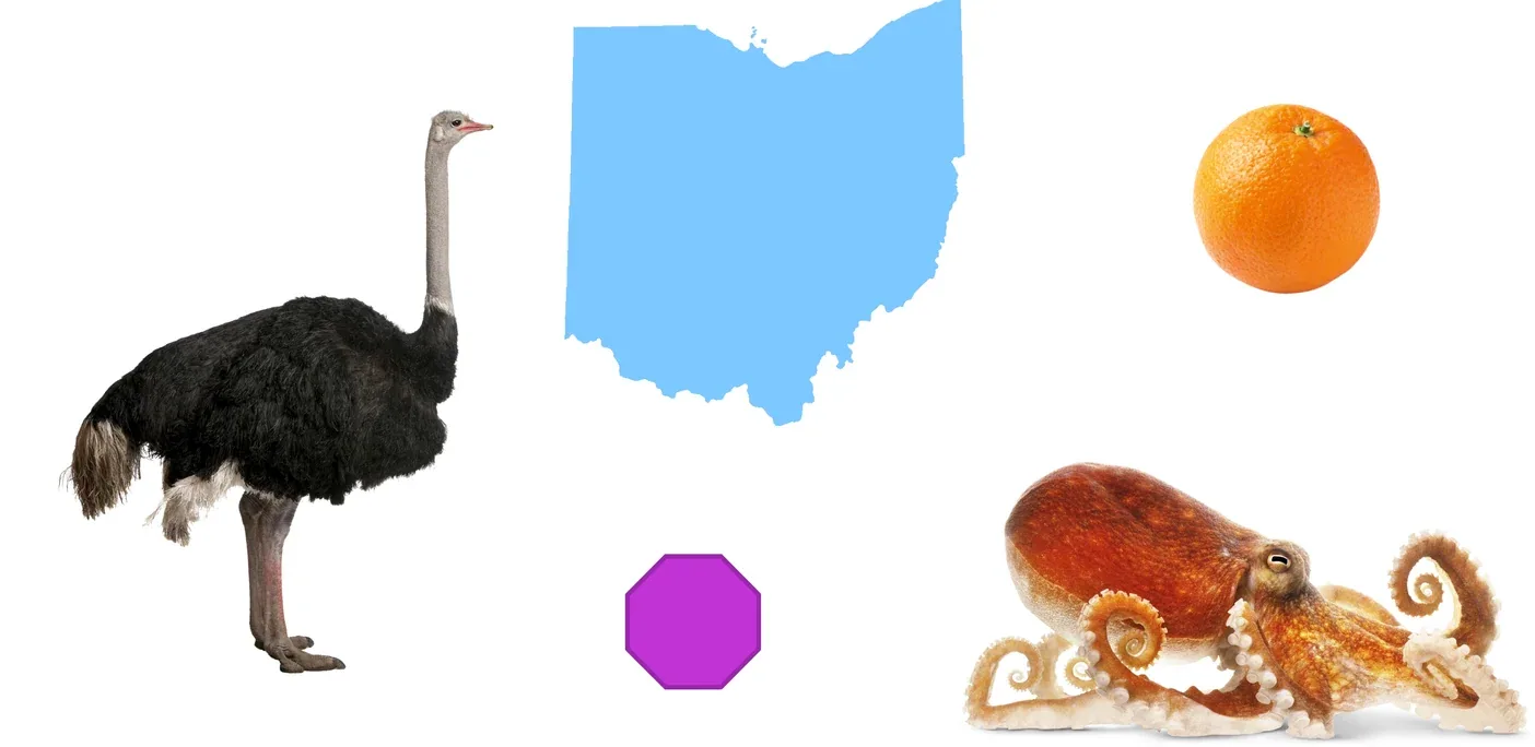 Figure 2: These objects all start with the letter "O."