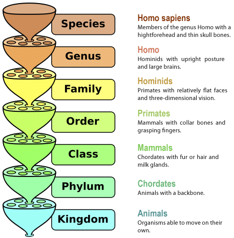 Figure 10. Making the Species Concept Relevant.