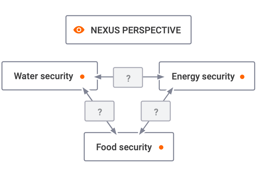 Figure 6.19: Structural Map of the Nexus Perspective